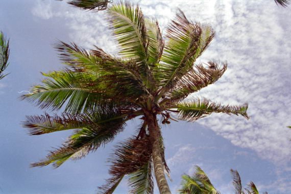 brasile0049.jpg