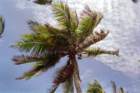brasile0049_small.jpg
