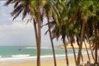 brasile0050_small.jpg