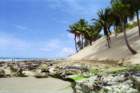 brasile0057_small.jpg