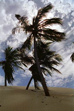 brasile0058.jpg
