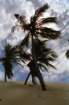 brasile0058_small.jpg