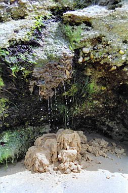 brasile0059.jpg