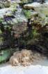 brasile0059_small.jpg