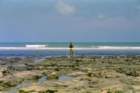 brasile0074_small.jpg