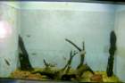 brasile0087_small.jpg