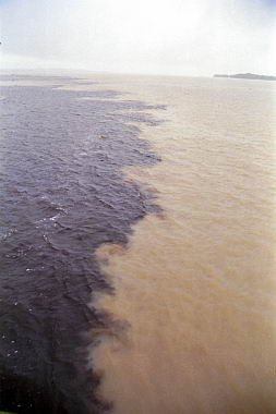 brasile0099.jpg