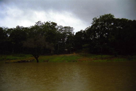 brasile0111.jpg