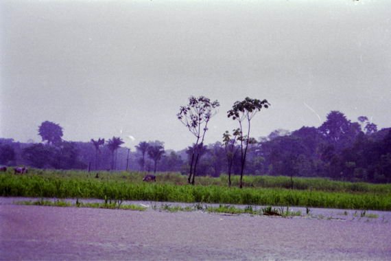 brasile0114.jpg
