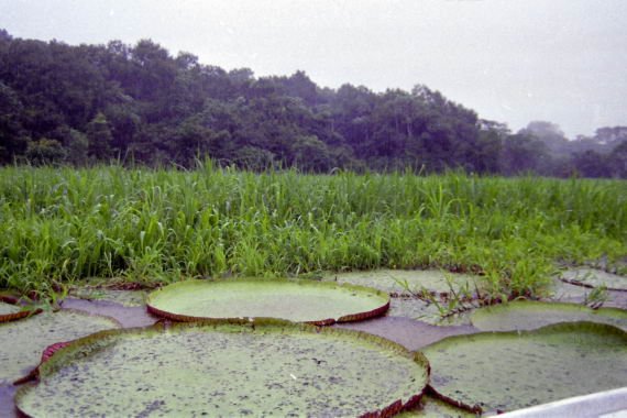 brasile0116.jpg