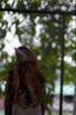 brasile0121_small.jpg