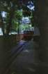 brasile0135_small.jpg