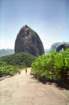 brasile0147_small.jpg