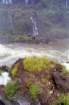 brasile0171_small.jpg