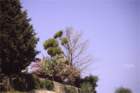 creta011_small.jpg