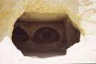 creta015_small.jpg