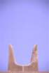 creta024_small.jpg