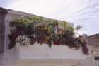 creta047_small.jpg