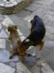 creta140_small.jpg
