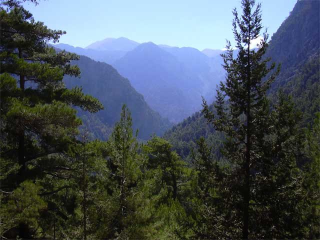 creta151.jpg