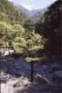 creta154_small.jpg