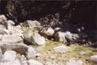 creta155_small.jpg
