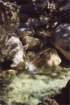 creta164_small.jpg