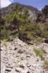 creta166_small.jpg