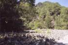 creta167_small.jpg