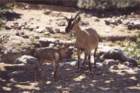 creta169_small.jpg