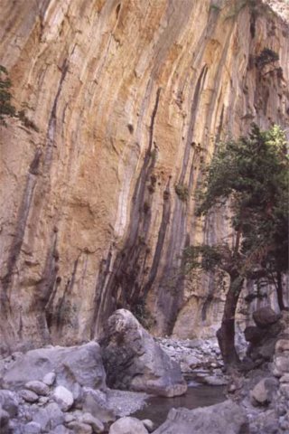 creta182.jpg