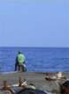 creta190_small.jpg