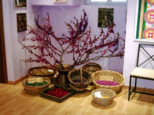 infiorata200306.jpg