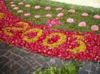 infiorata200316_small.jpg