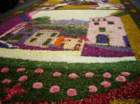infiorata200317_small.jpg