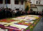 infiorata200323_small.jpg