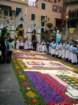 infiorata200324_small.jpg