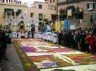 infiorata200325_small.jpg