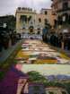 infiorata200326_small.jpg
