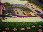 infiorata200327_small.jpg