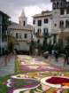 infiorata200334_small.jpg