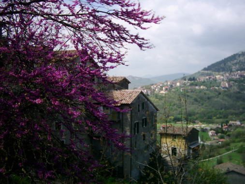 infiorata200339.jpg
