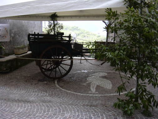 geranoinfiorata02052004001.jpg