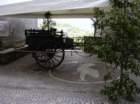 geranoinfiorata02052004001_small.jpg