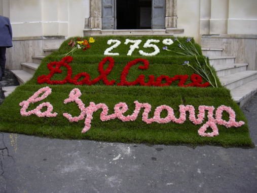geranoinfiorata02052004007.jpg
