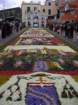 geranoinfiorata02052004010_small.jpg