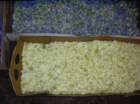 geranoinfiorata02052004012_small.jpg
