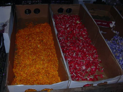 geranoinfiorata02052004013.jpg