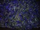 geranoinfiorata02052004014_small.jpg
