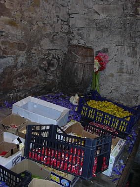 geranoinfiorata02052004015.jpg